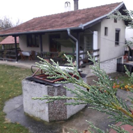 Galerija Jovanovic Topola Ngoại thất bức ảnh